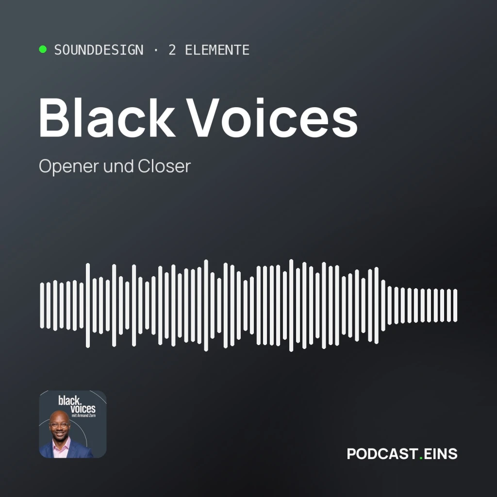 Cover des Sounddesigns von Black Voices mit der Wellenform des Openers
