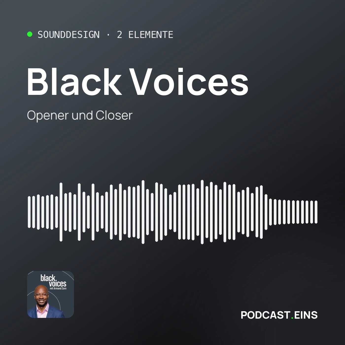 Cover des Sounddesigns von Black Voices mit der Wellenform des Openers