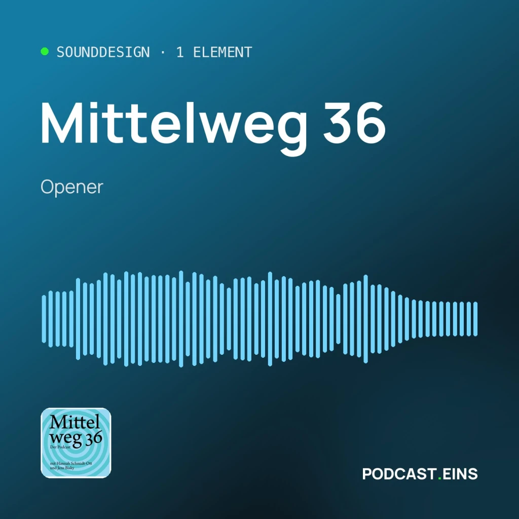 Cover des Sounddesigns von Mittelweg 36 mit der Wellenform des Openers